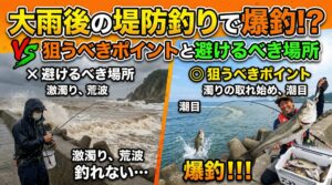 大雨の後の堤防釣りは、状況を見極める力が試されます。 狙うべき場所と避けるべき場所をしっかりと理解すれば、普段では味わえないような大釣りができるかもしれません。釣太郎