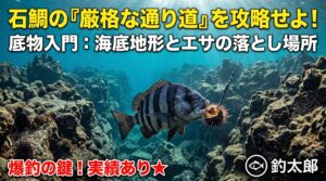 石鯛には通り道が厳格にある。そこにエサを落とせば効果抜群。底物釣り入門。釣太郎