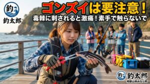 ゴンズイが持つ毒の主成分は、数種類のタンパク質。この毒には細胞を破壊したり、血液の成分を分解したりする作用があり、注入された瞬間に末梢神経を強烈に刺激します。釣太郎