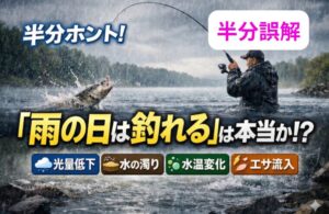 釣り人が信じる「雨の日は釣れる」は、正確には 「雨で環境が少しだけ好転した時は釣れる」が本当の答え。釣太郎