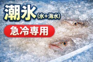 潮氷（氷＋海水）は、 魚の体温を一気に落とす最強の冷却法だが、 長時間の保存には不向き。釣太郎