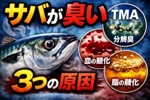 サバが臭い原因は・TMA（分解臭）・血の酸化・脂の酸化。でもこれは全部、処理と冷却でほぼ防げる臭い。釣太郎