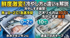 アオリイカの最適な冷却温度10度。魚は0～2度。釣太郎