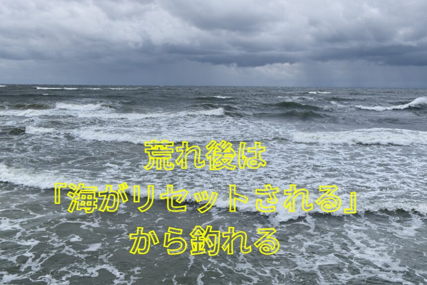 海が荒れた後釣れるのは、海底がかき混ぜられてエサが豊富になる。釣太郎