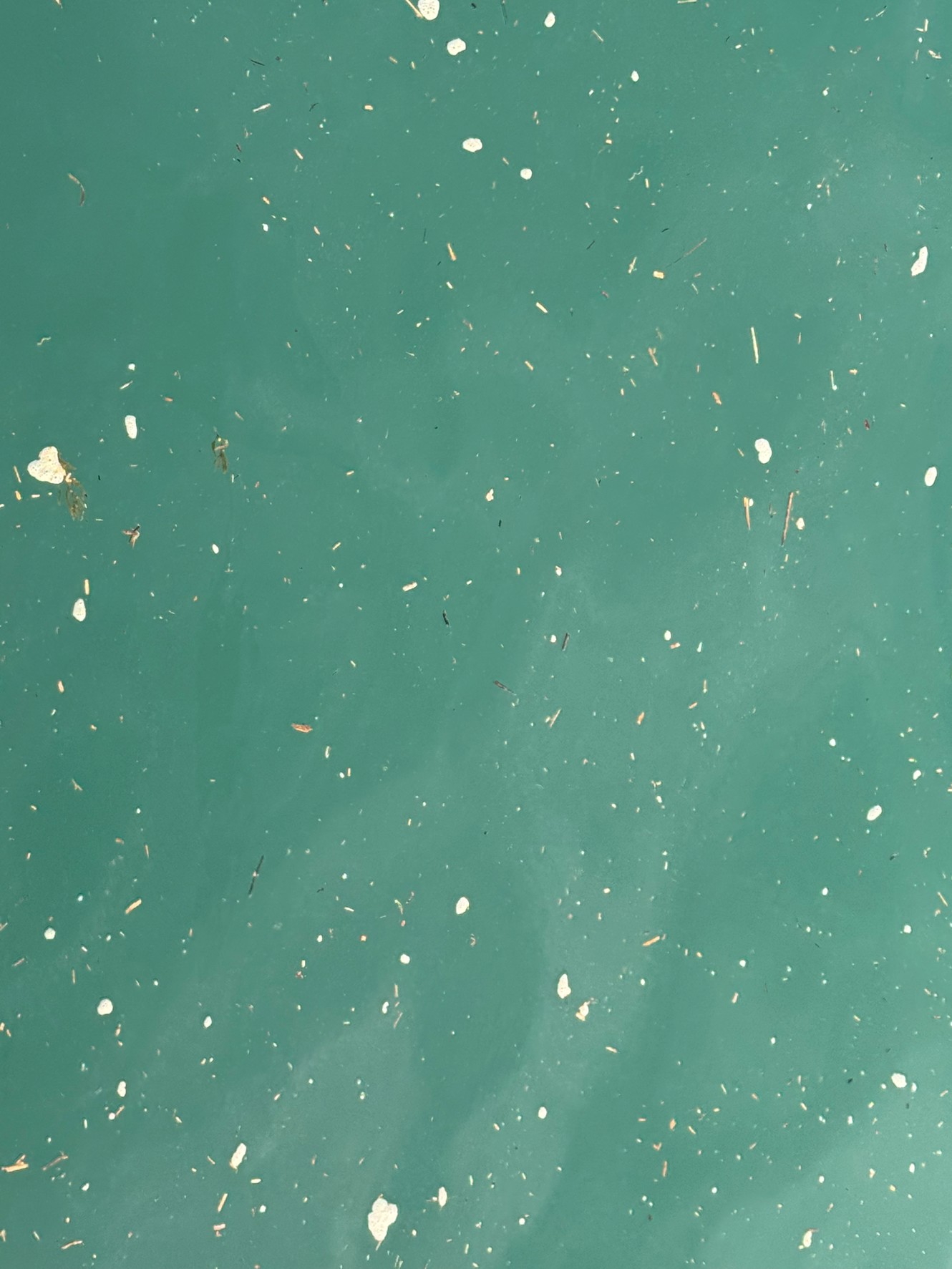 みなべ堺堤防｜濁りは回復中。明日はさらに期待.4月6日月曜日午前7時半現在。釣太郎