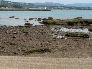 春〜夏にかけては、昼間の干潮（引き潮）が大きくなりやすい。地球の地軸の傾き（約23.4度）と月の赤緯（月の位置）の関係で起きる「日潮不等」によるもの。釣太郎