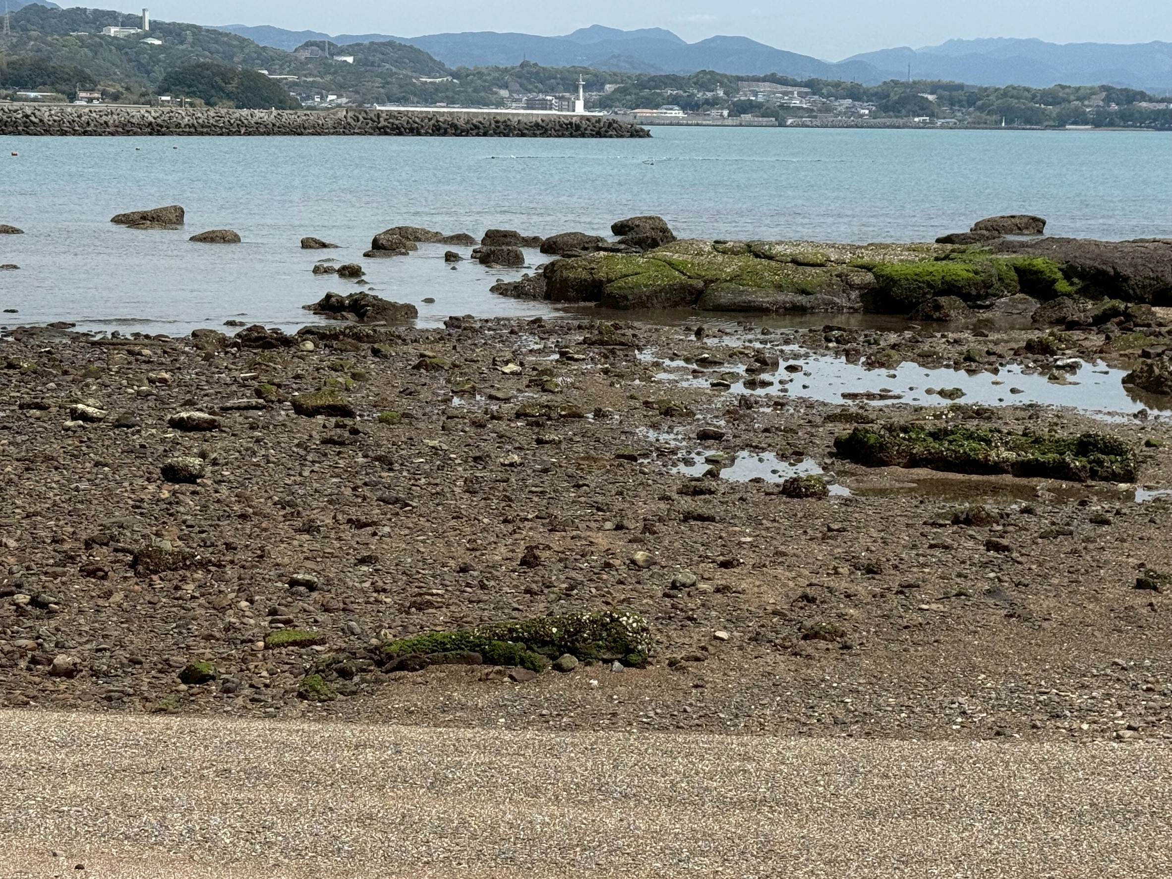 春〜夏にかけては、昼間の干潮（引き潮）が大きくなりやすい。地球の地軸の傾き（約23.4度）と月の赤緯（月の位置）の関係で起きる「日潮不等」によるもの。釣太郎