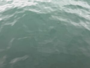 和歌山県みなべ町堺堤防の海の色は、９割方元に戻っています。2026年4月7日火曜日午前7時半現在